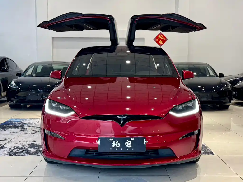 Tesla Model X 2023 — фото 2