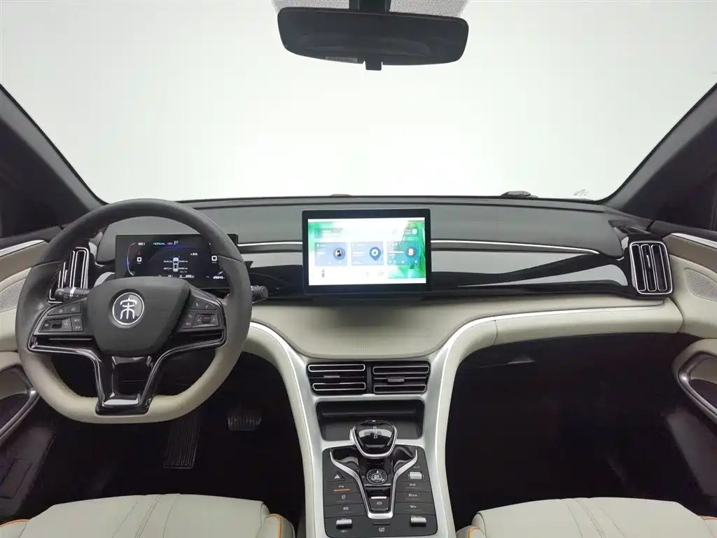 BYD Pro New Energy 2024