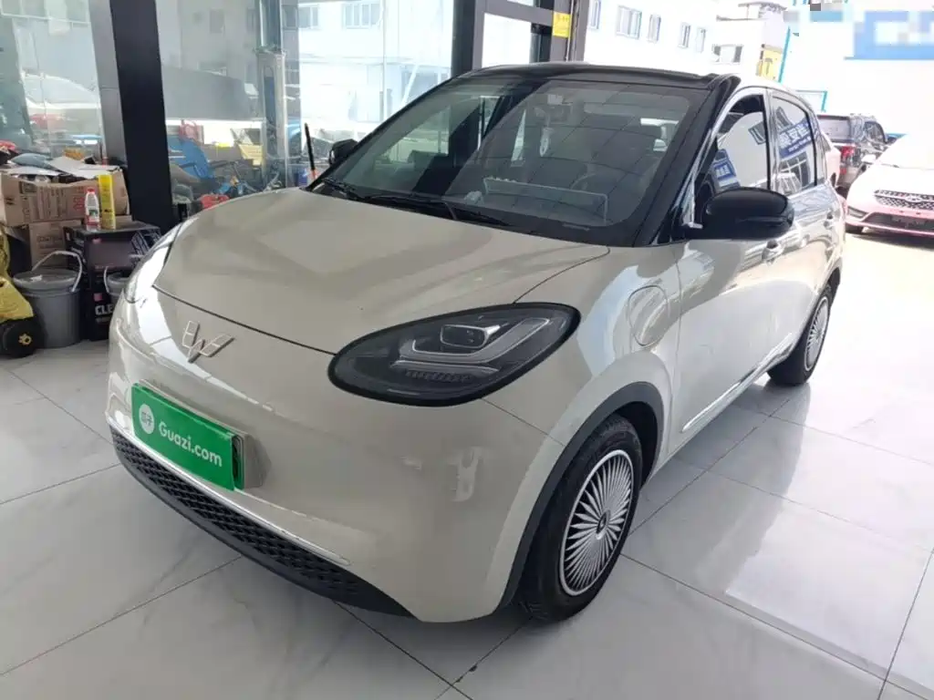 Wuling Bingo 2024