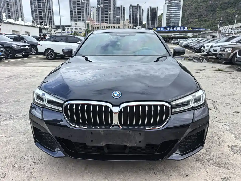 BMW 5 Series New Energy 2022 — фото 2