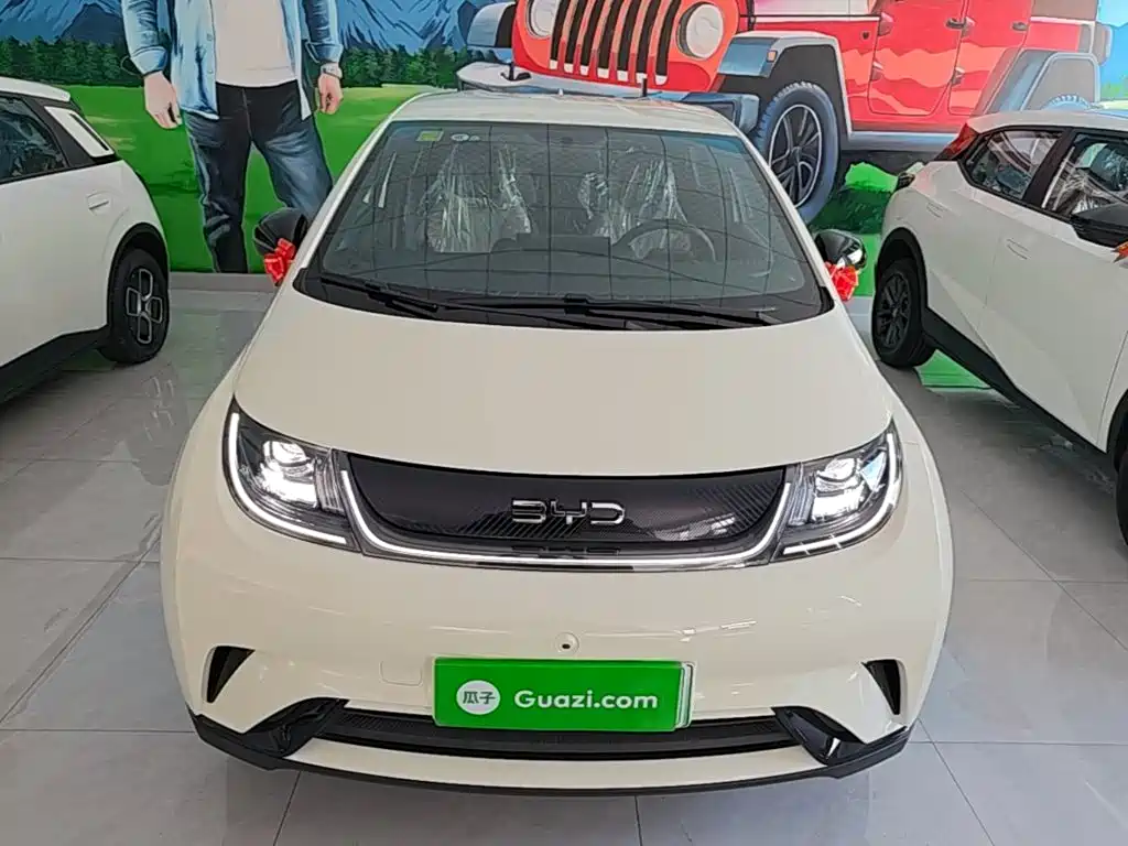 BYD Dolphin 2026
