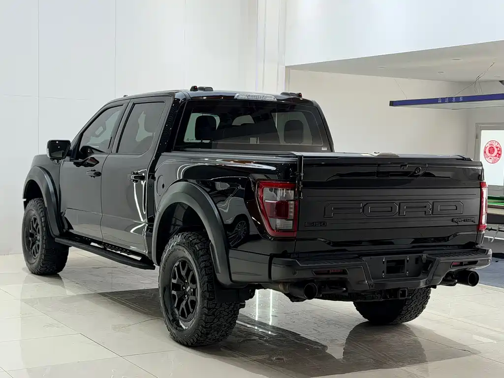 Ford F-150 Raptor 2024 — фото 16