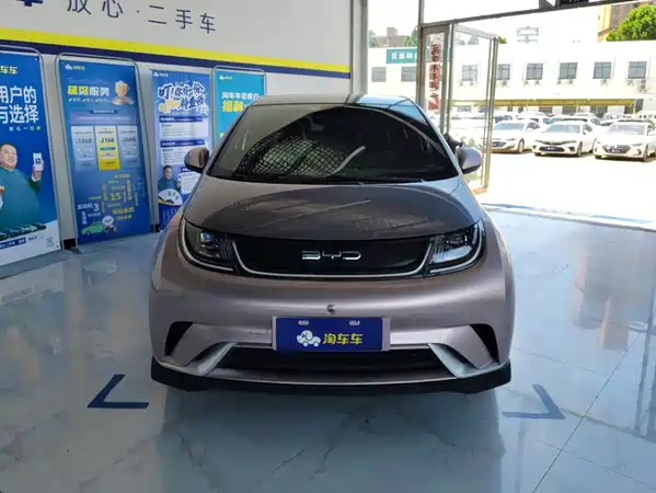 BYD Dolphin 2022
