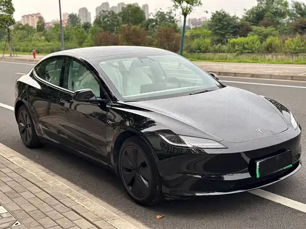 Tesla Model 3 2024