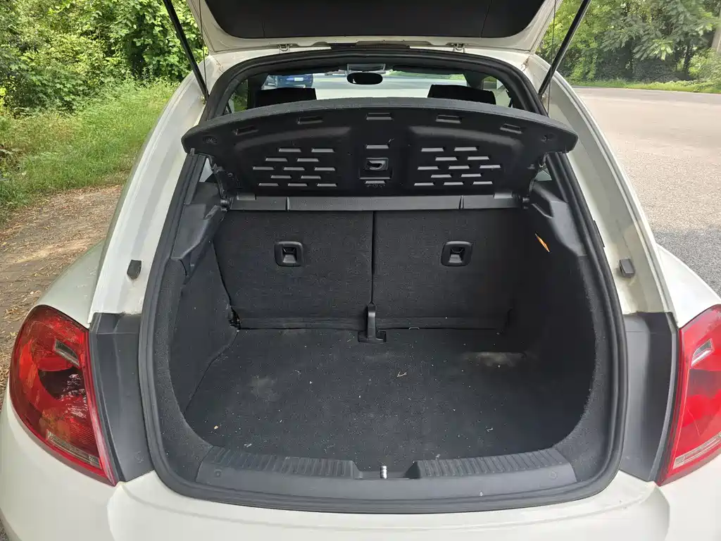 Volkswagen Beetle 2014