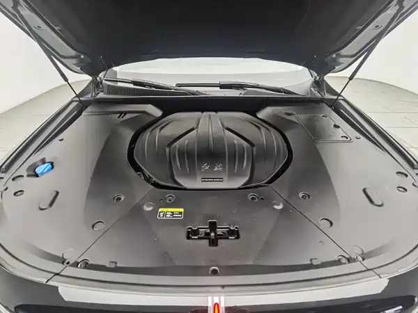 Hongqi H9 2021