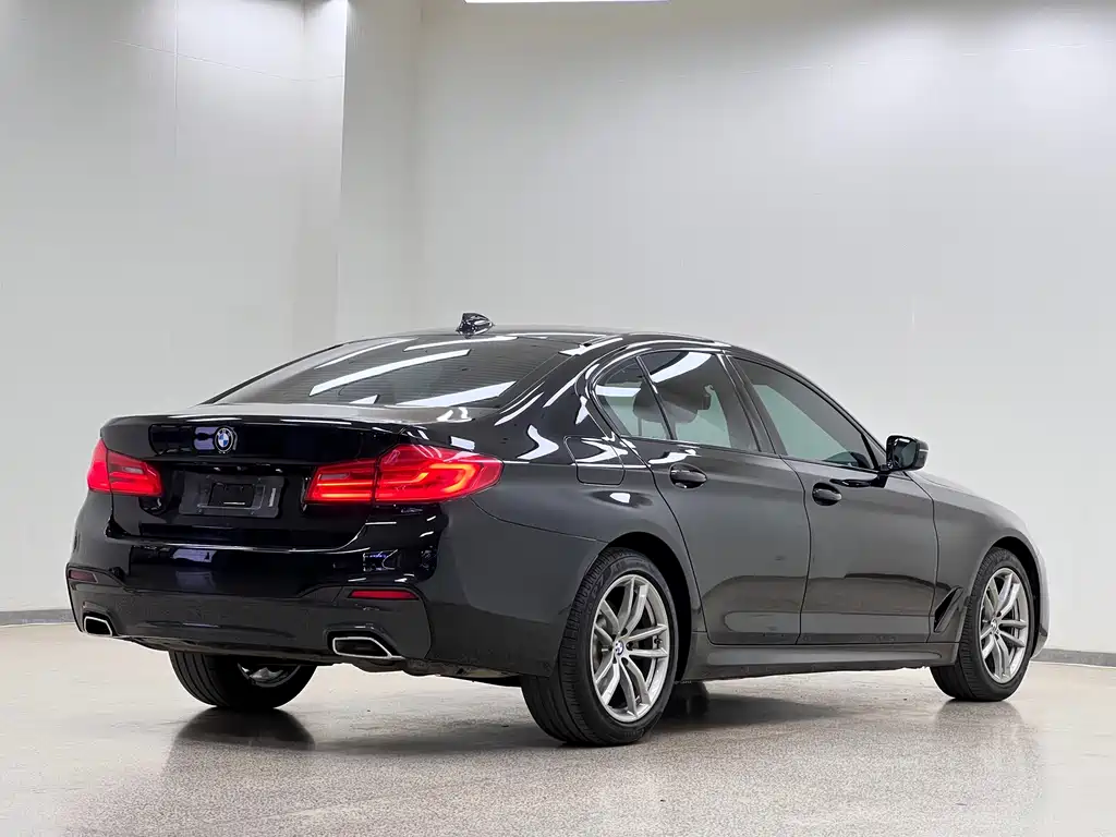 BMW 5 Series 2020 — фото 31