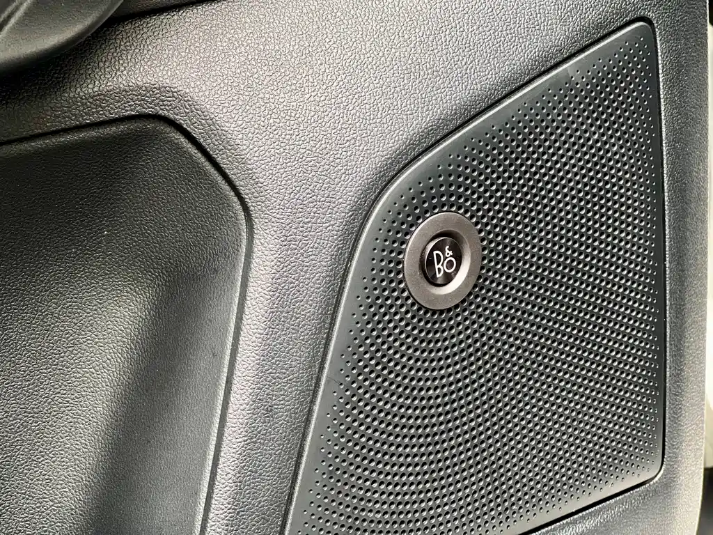 Ford Fox Active 2021 — фото 21