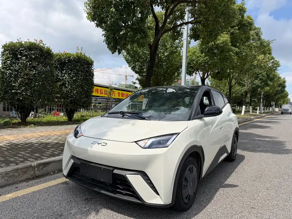 BYD Seagull 2024
