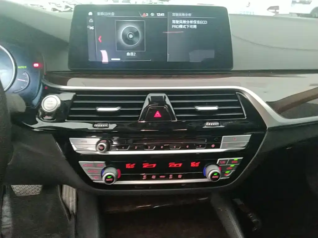 BMW 5 Series 2018 — фото 13