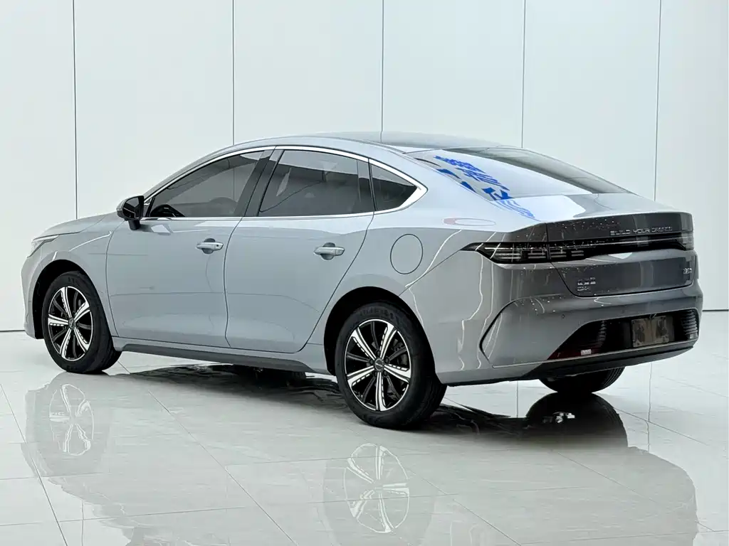 BYD Destroyer 05 2024 — фото 13