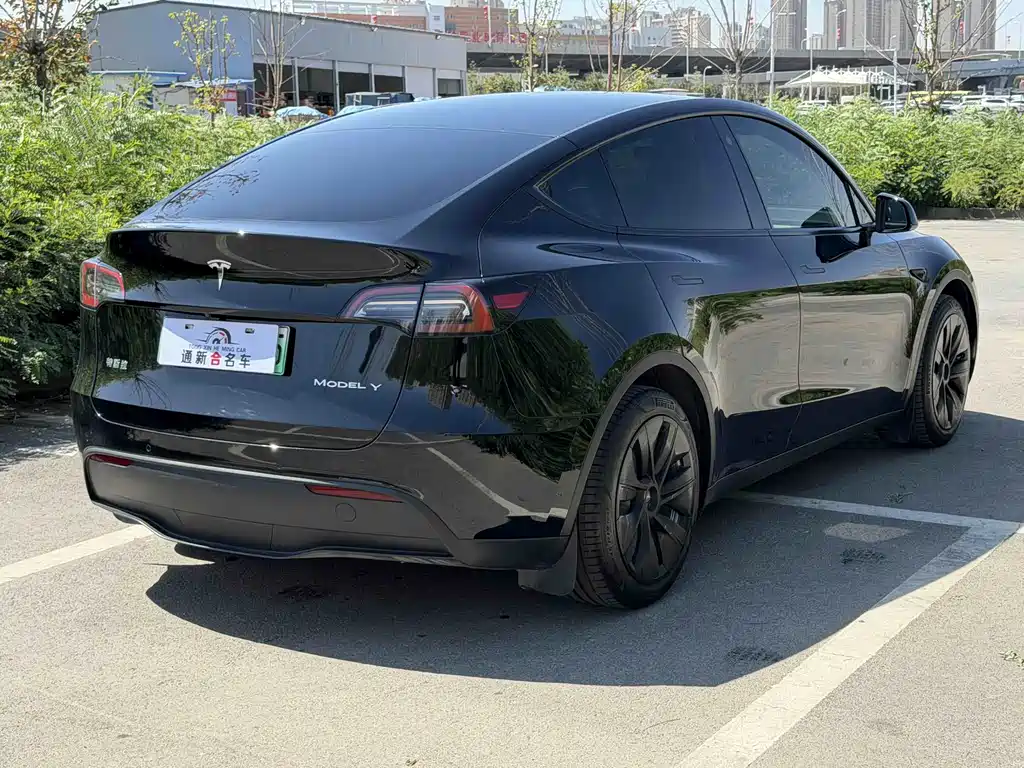 Tesla Model Y 2023 — фото 8