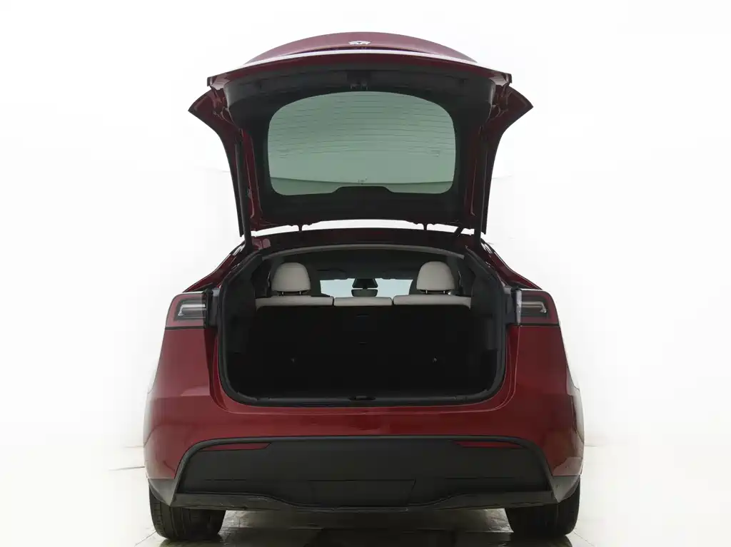 Tesla Model Y 2023 — фото 14