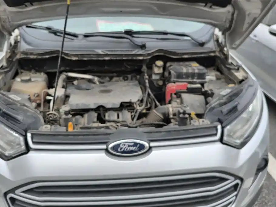 Ford Ecosport 2014 — фото 10