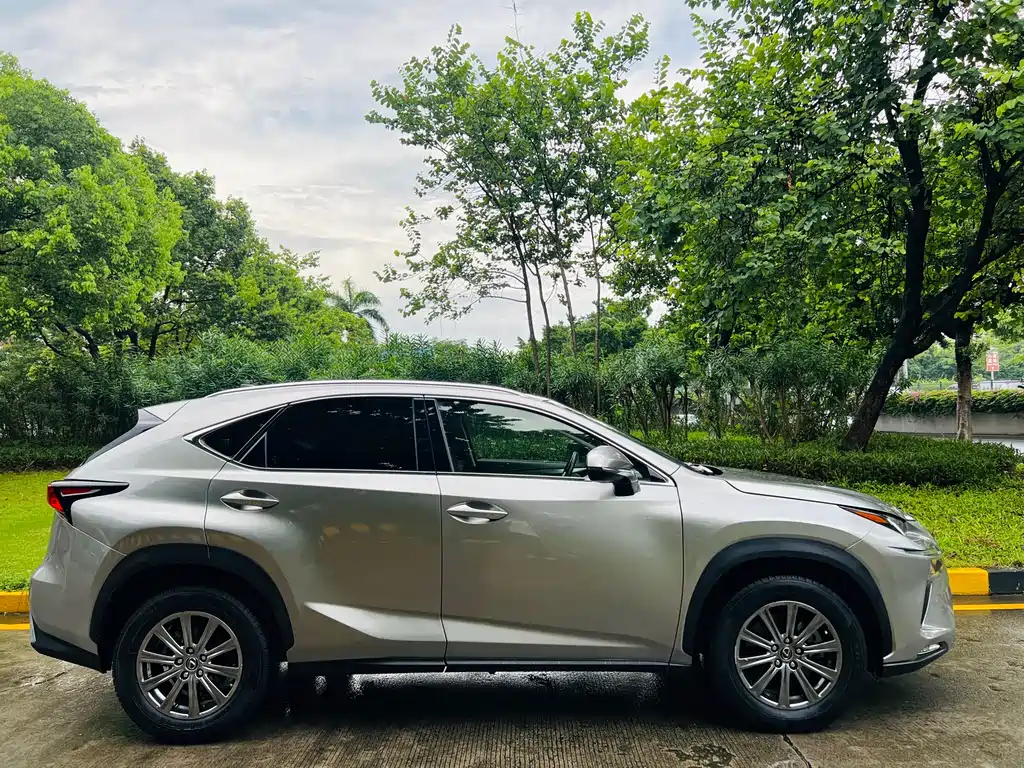 Lexus NX 2019
