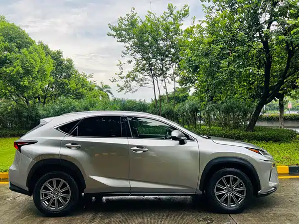 Lexus NX 2019