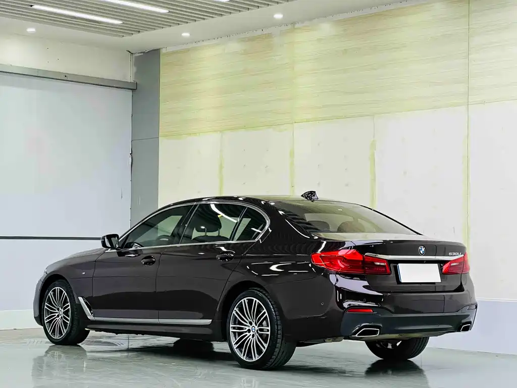 BMW 5 Series 2019 — фото 6