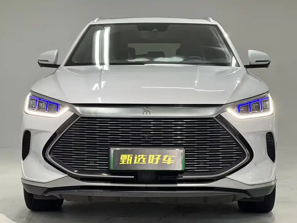 BYD Song PLUS New Energy 2021 — фото 2
