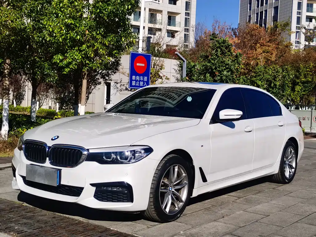 BMW 5 Series 2019 — фото 1