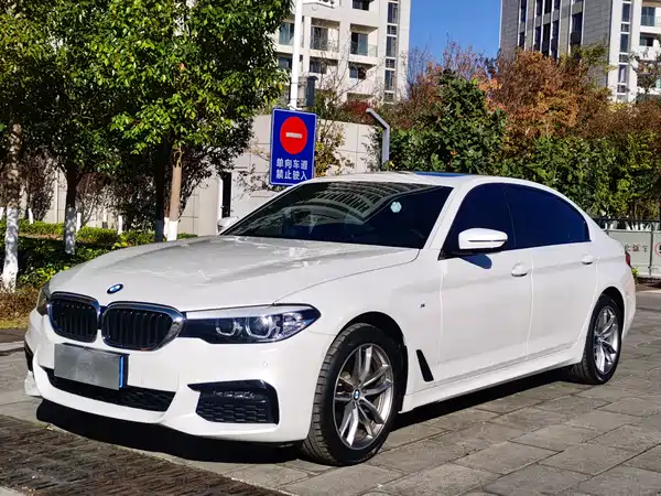 BMW 5 Series 2019