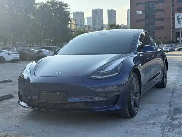 Tesla Model 3 2020