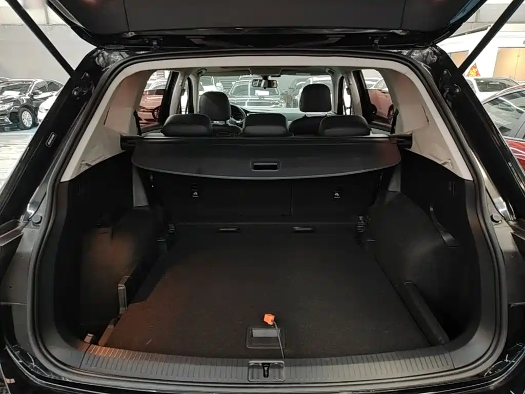 Volkswagen Tiguan L 2020 — фото 19