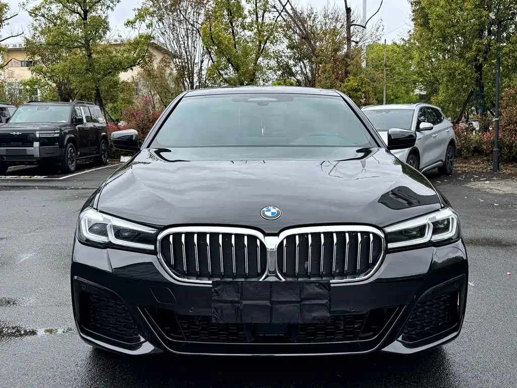 BMW 5 Series 2021
