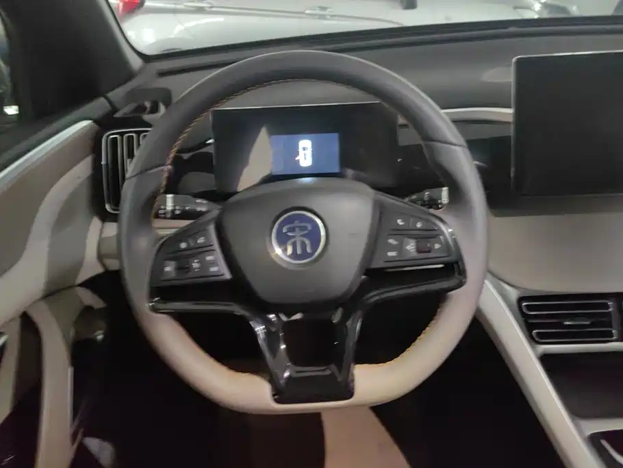 BYD Song Pro New Energy 2024 — фото 15