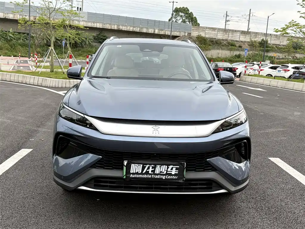 BYD Pro New Energy 2024 — фото 2