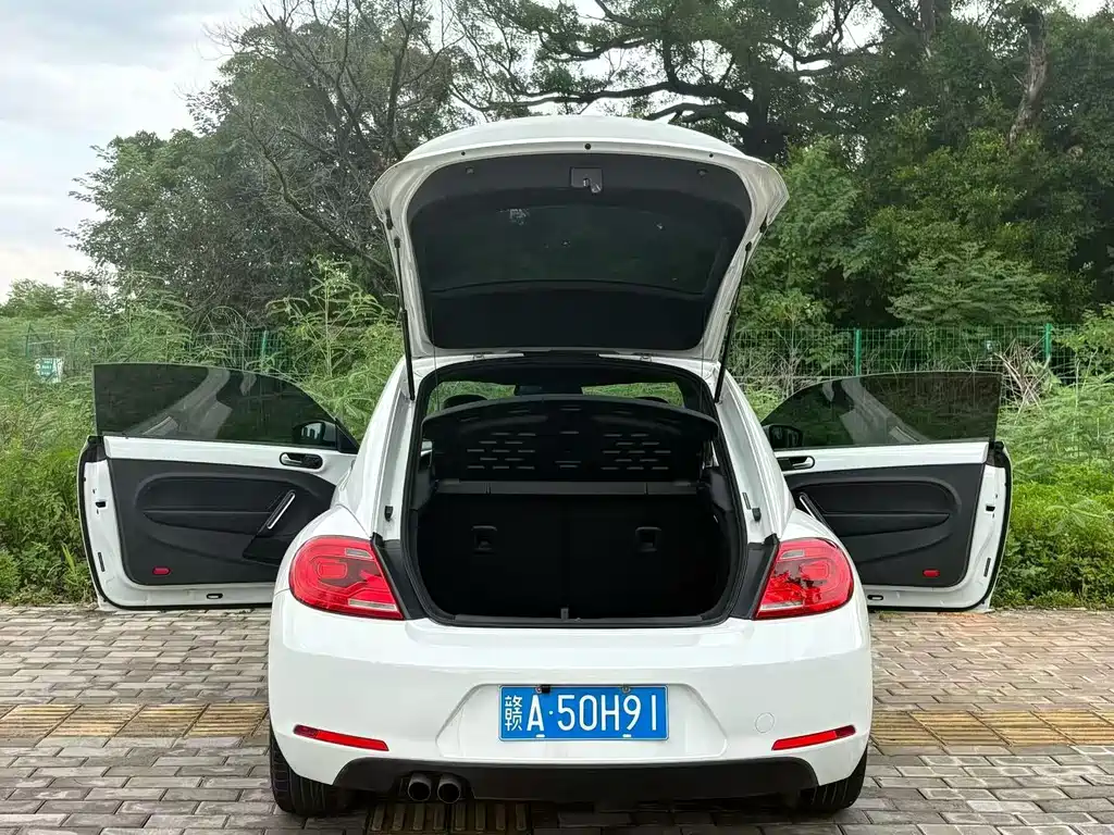 Volkswagen Beetle 2014