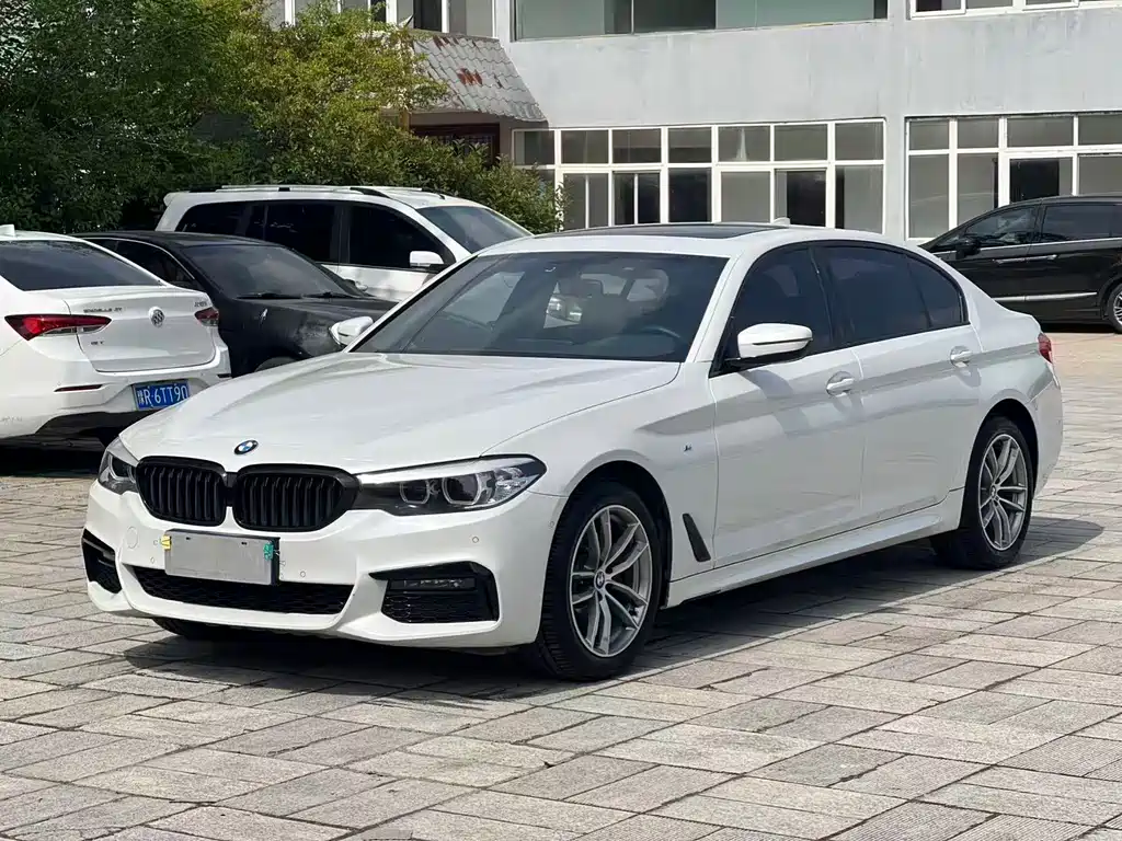 BMW 5 Series 2019
