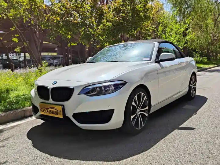 BMW 2 Series 2020 — фото 11