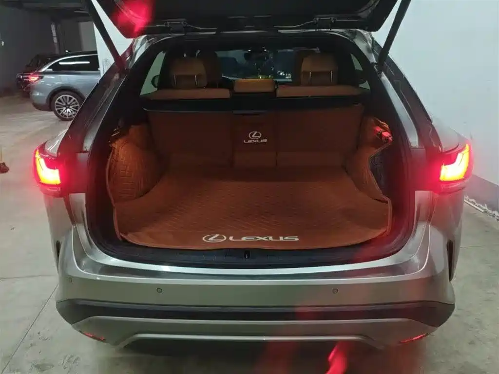 Lexus RX 2024 — фото 10