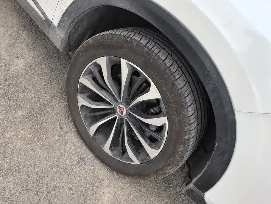 Roewe RX5 eMAX 2020 — фото 6