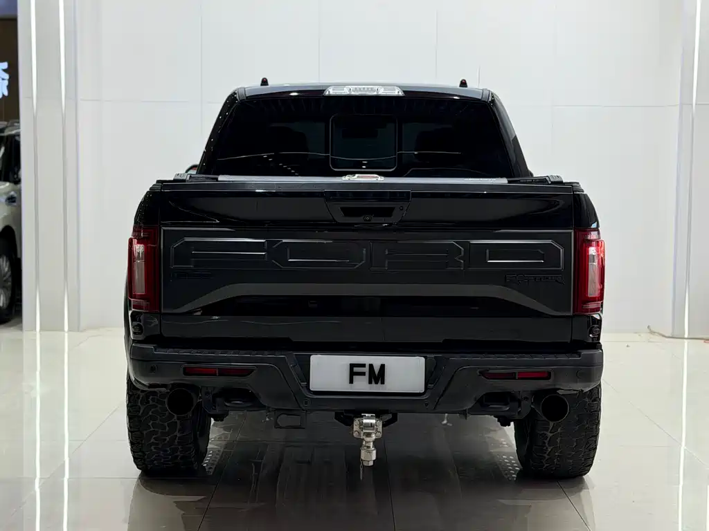 Ford F-150 Raptor 2017 — фото 19