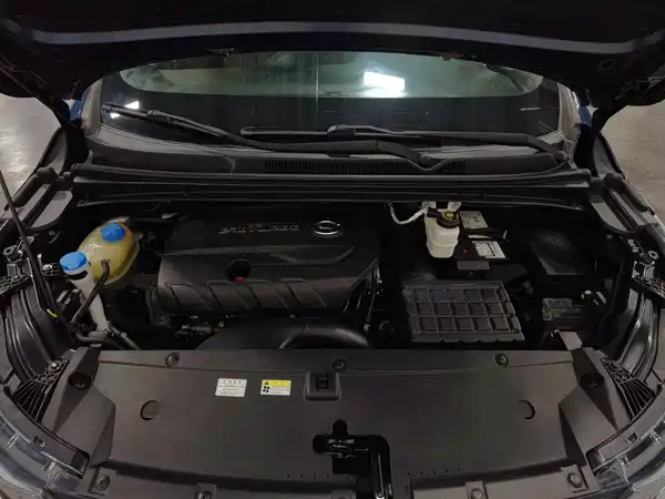 GAC Trumpchi M6 2019