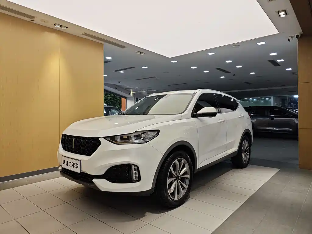 Wey VV6 2019