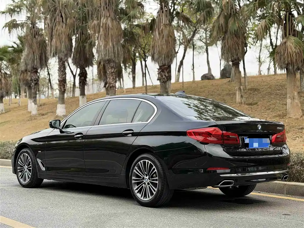 BMW 5 Series 2018 — фото 16