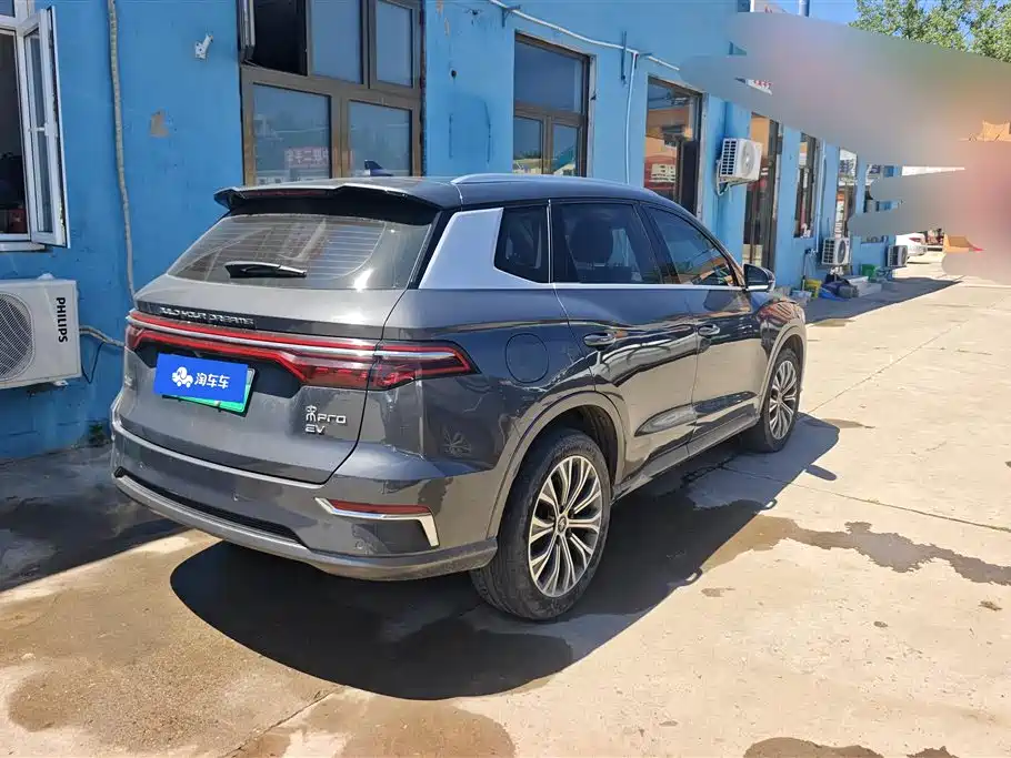 BYD Pro New Energy 2020 — фото 3