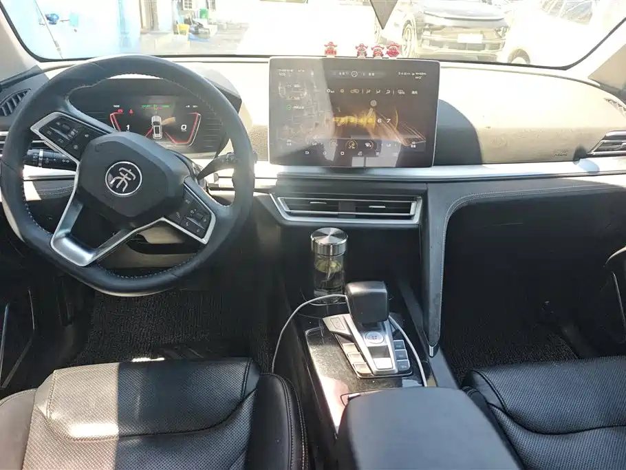 BYD Pro New Energy 2020 — фото 12