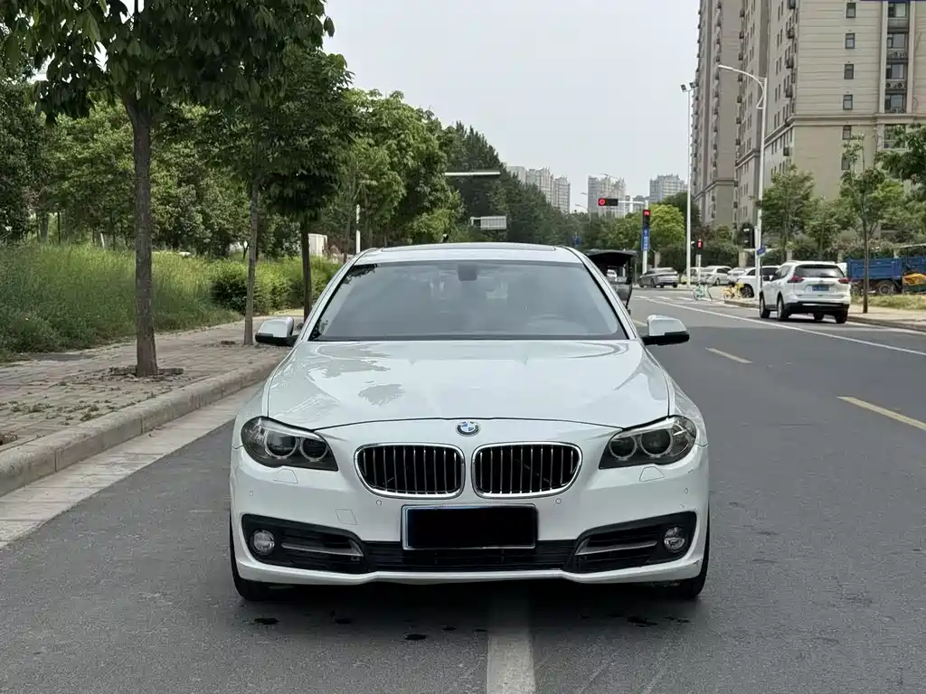 BMW 5 Series 2014 — фото 1