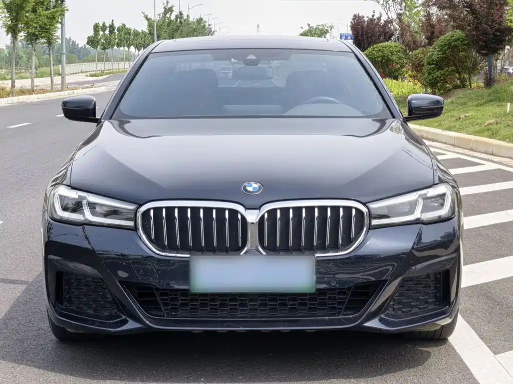 BMW 5 Series New Energy 2020 — фото 23