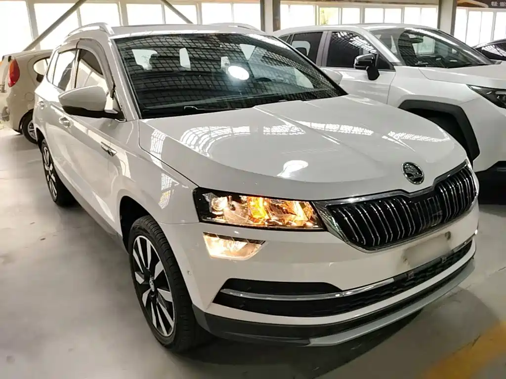 Skoda Karoq 2019 — фото 4