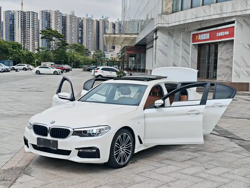 BMW 5 Series 2017 — фото 11