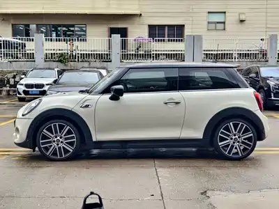 MINI MINI 2020