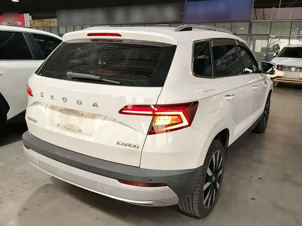 Skoda Karoq 2019 — фото 7