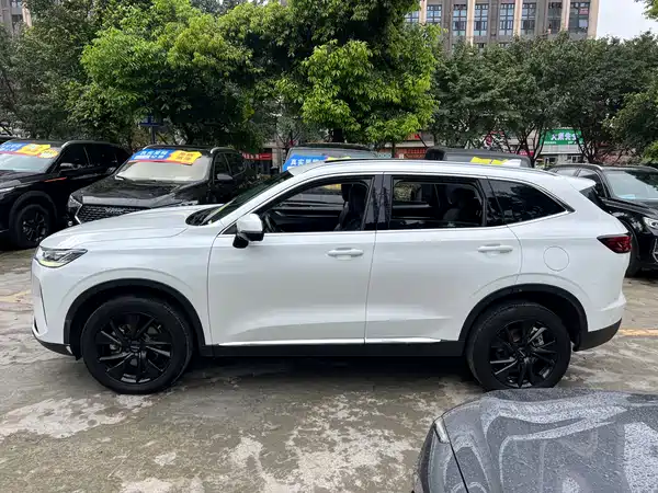 Haval H6 2021
