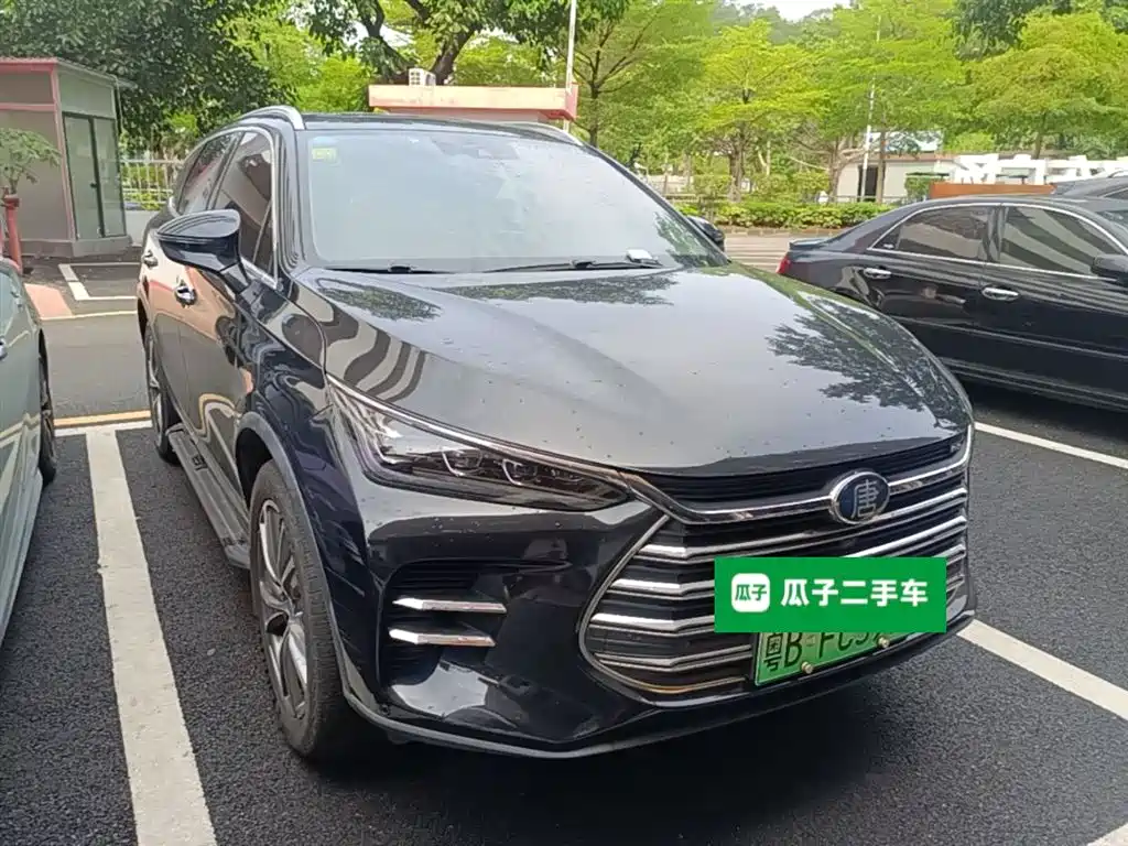 BYD Tang New Energy 2019 — фото 22