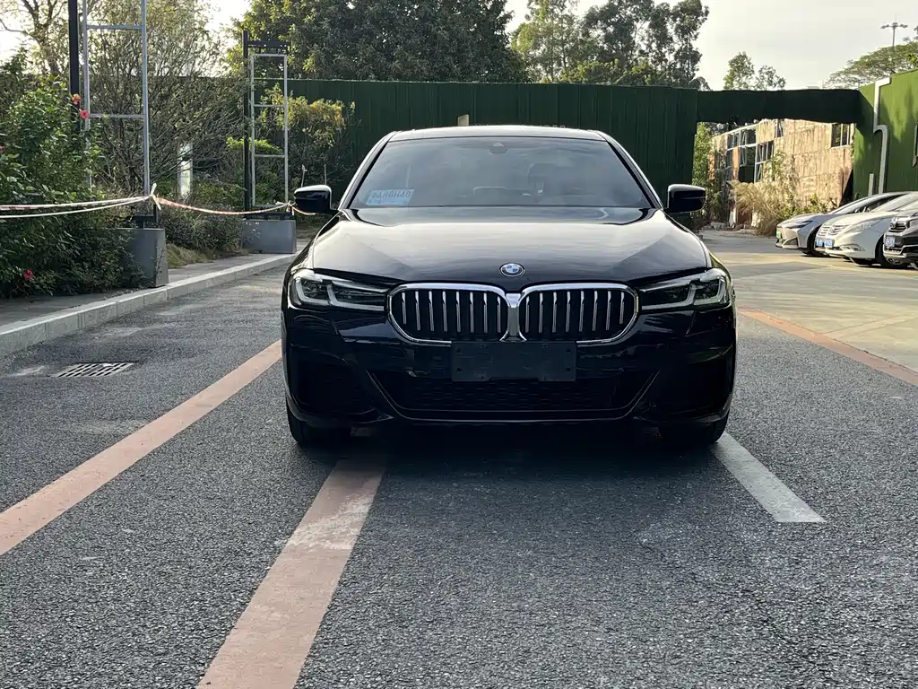BMW 5 Series 2021