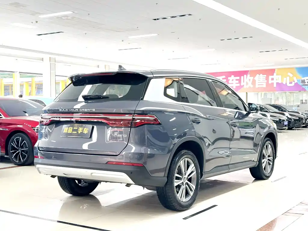 BYD Pro 2020 — фото 4